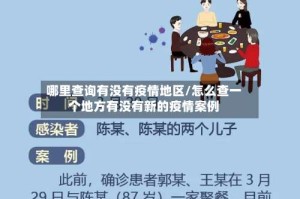 哪里查询有没有疫情地区/怎么查一个地方有没有新的疫情案例
