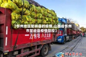 【忻州地区繁峙县的疫情,山西省忻州市繁峙县疫情防控】