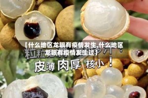 【什么地区龙眼有疫情发生,什么地区龙眼有疫情发生过】