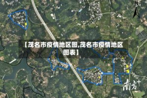 【茂名市疫情地区图,茂名市疫情地区图表】