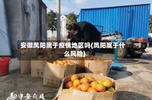 安徽凤阳属于疫情地区吗(凤阳属于什么风险)