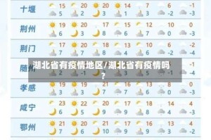 湖北省有疫情地区/湖北省有疫情吗?