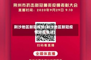 荆沙地区新冠疫情(荆沙地区新冠疫情防控电话)