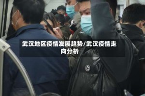 武汉地区疫情发展趋势/武汉疫情走向分析