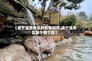 【咸宁温泉地区的疫情如何,咸宁温泉区属于哪个区】