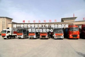 喀什地区疫情监测工作/喀什地区疫情防控指挥中心