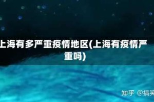 上海有多严重疫情地区(上海有疫情严重吗)
