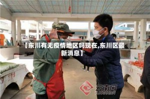【东川有无疫情地区吗现在,东川区最新消息】