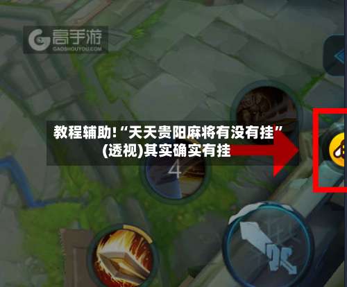 教程辅助!“天天贵阳麻将有没有挂	”(透视)其实确实有挂-第2张图片