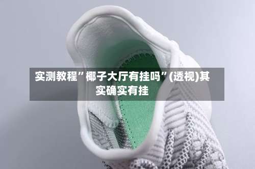 实测教程”椰子大厅有挂吗”(透视)其实确实有挂-第2张图片