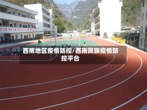 西南地区疫情防控/西南民族疫情防控平台-第1张图片