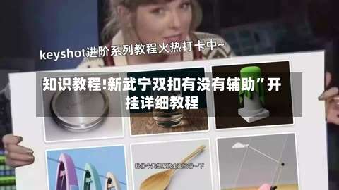 知识教程!新武宁双扣有没有辅助	”开挂详细教程-第2张图片