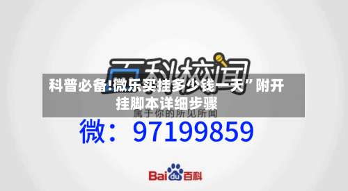 科普必备!微乐买挂多少钱一天”附开挂脚本详细步骤-第2张图片
