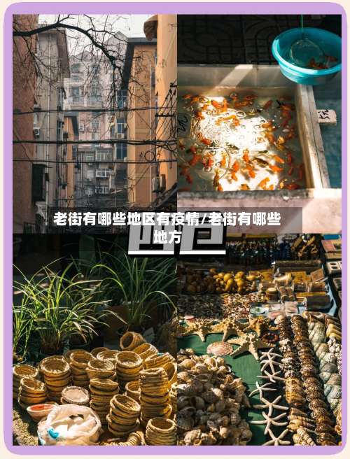老街有哪些地区有疫情/老街有哪些地方-第2张图片