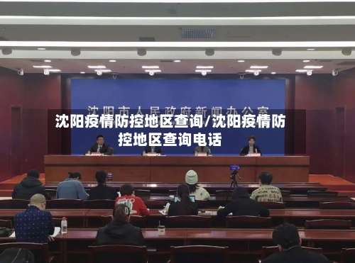 沈阳疫情防控地区查询/沈阳疫情防控地区查询电话-第3张图片