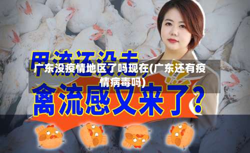 广东没疫情地区了吗现在(广东还有疫情病毒吗)-第2张图片