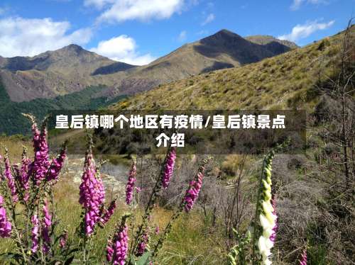 皇后镇哪个地区有疫情/皇后镇景点介绍-第2张图片