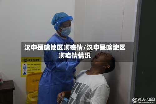 汉中是啥地区啊疫情/汉中是啥地区啊疫情情况-第2张图片