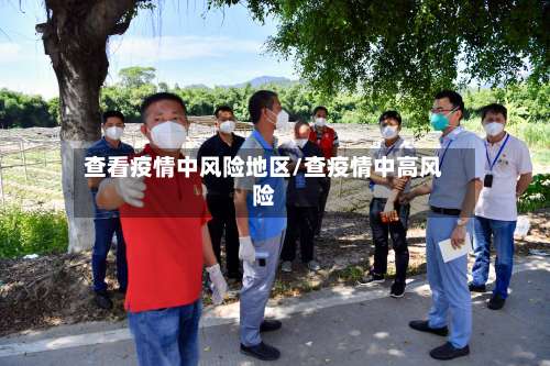 查看疫情中风险地区/查疫情中高风险-第2张图片