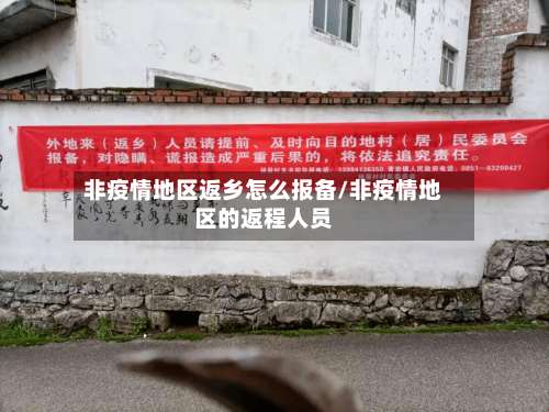 非疫情地区返乡怎么报备/非疫情地区的返程人员-第3张图片