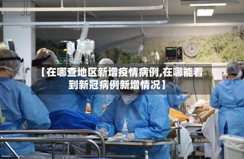 【在哪查地区新增疫情病例,在哪能看到新冠病例新增情况】-第2张图片