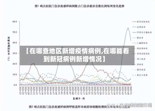 【在哪查地区新增疫情病例,在哪能看到新冠病例新增情况】-第3张图片