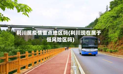 利川属疫情重点地区吗(利川现在属于低风险区吗)-第1张图片