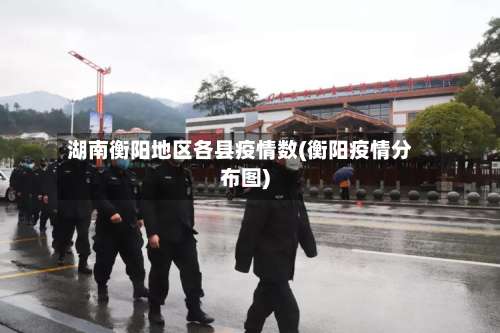 湖南衡阳地区各县疫情数(衡阳疫情分布图)-第1张图片
