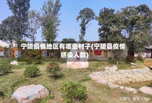 宁陵疫情地区有哪些村子(宁陵县疫情感染人数)-第2张图片