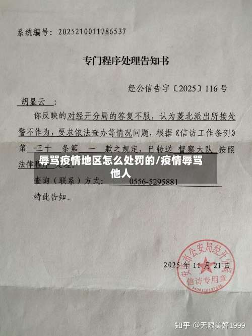 辱骂疫情地区怎么处罚的/疫情辱骂他人-第3张图片