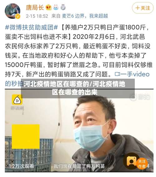 河北疫情地区在哪查的/河北疫情地区在哪查的出来-第2张图片