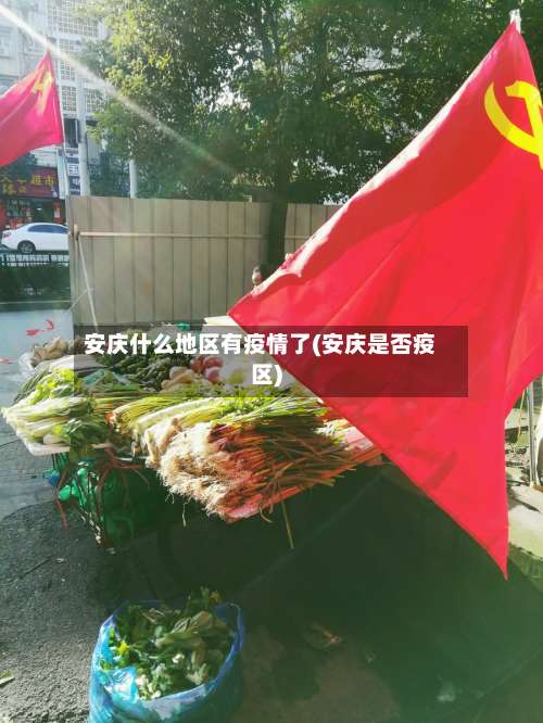 安庆什么地区有疫情了(安庆是否疫区)-第1张图片