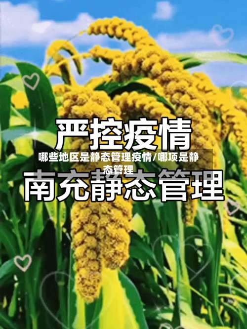 哪些地区是静态管理疫情/哪项是静态管理-第1张图片