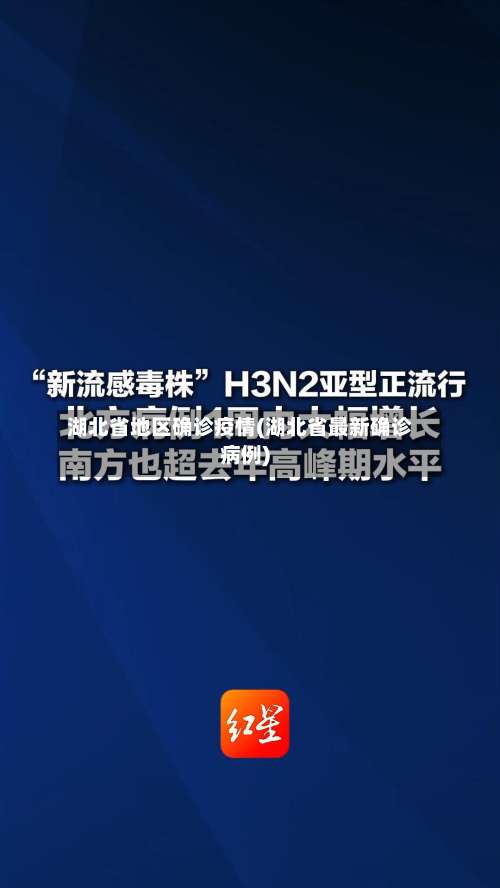 湖北省地区确诊疫情(湖北省最新确诊病例)-第2张图片