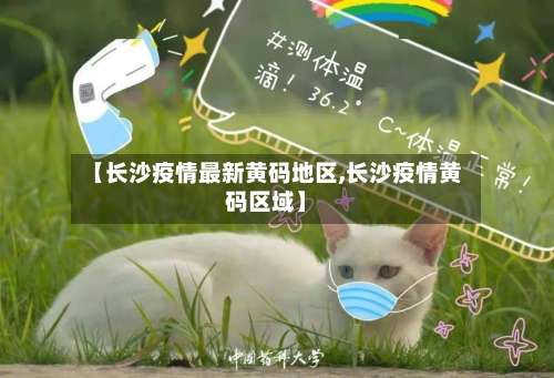 【长沙疫情最新黄码地区,长沙疫情黄码区域】-第2张图片