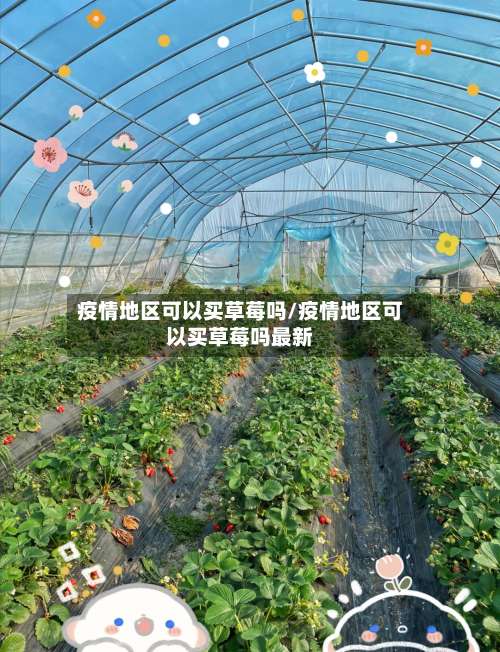 疫情地区可以买草莓吗/疫情地区可以买草莓吗最新-第1张图片