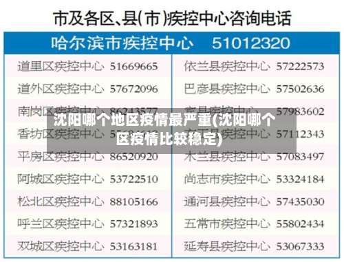 沈阳哪个地区疫情最严重(沈阳哪个区疫情比较稳定)-第2张图片