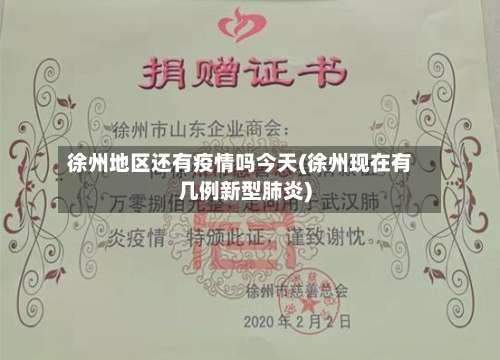 徐州地区还有疫情吗今天(徐州现在有几例新型肺炎)-第2张图片