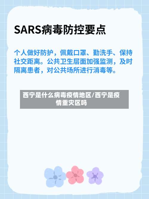 西宁是什么病毒疫情地区/西宁是疫情重灾区吗-第3张图片