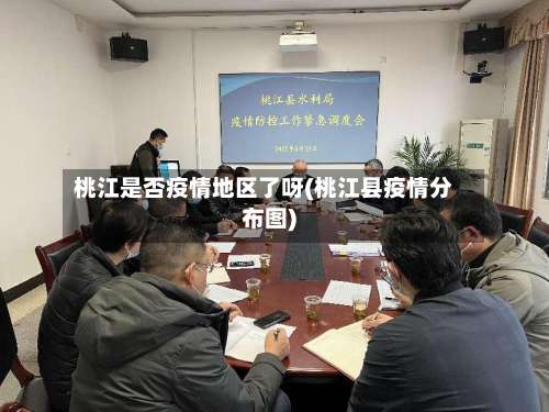 桃江是否疫情地区了呀(桃江县疫情分布图)-第1张图片