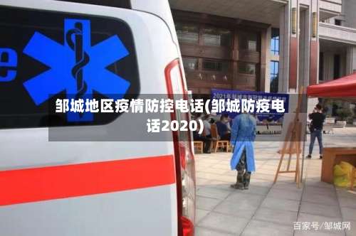 邹城地区疫情防控电话(邹城防疫电话2020)-第3张图片