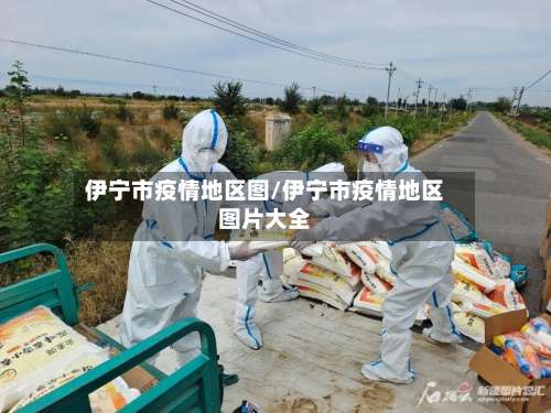 伊宁市疫情地区图/伊宁市疫情地区图片大全-第2张图片