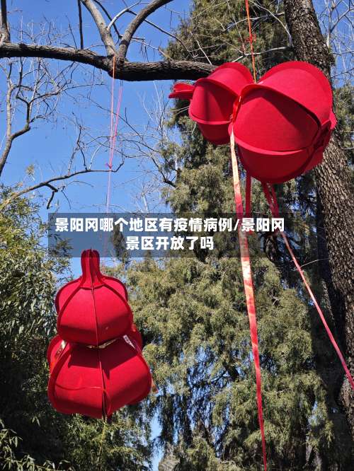 景阳冈哪个地区有疫情病例/景阳冈景区开放了吗-第1张图片