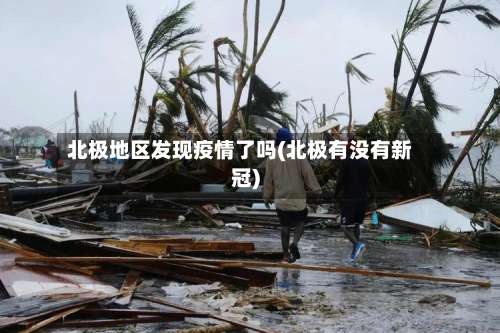 北极地区发现疫情了吗(北极有没有新冠)-第1张图片