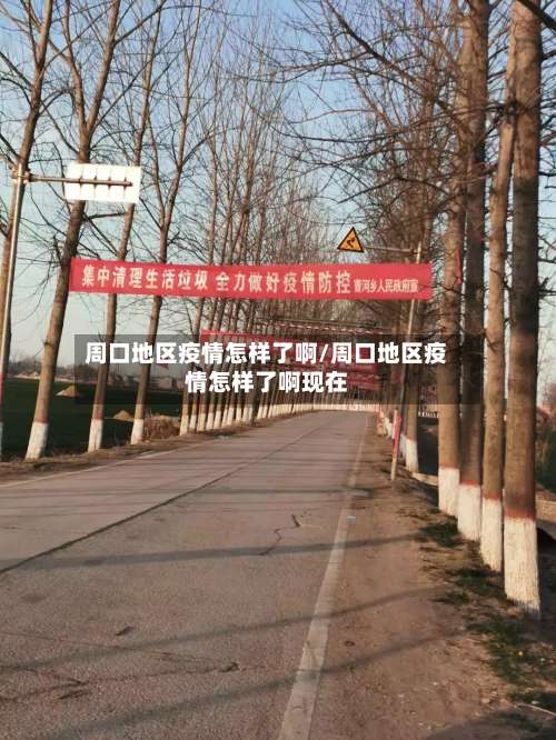 周口地区疫情怎样了啊/周口地区疫情怎样了啊现在-第1张图片
