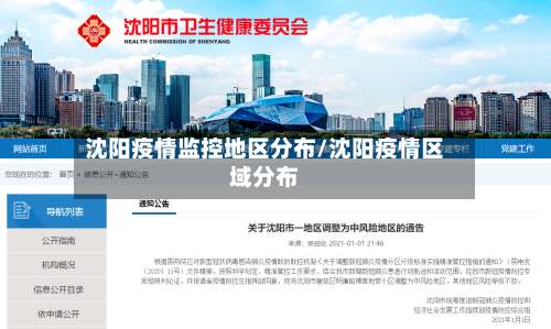 沈阳疫情监控地区分布/沈阳疫情区域分布-第2张图片