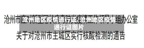 沧州地区疫情通行证/沧州地区疫情通行证图片-第1张图片