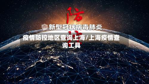 疫情防控地区查询上海/上海疫情查询工具-第2张图片
