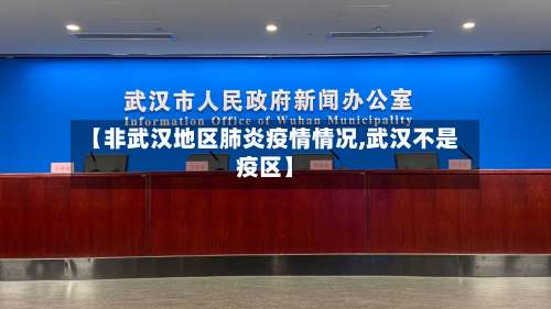 【非武汉地区肺炎疫情情况,武汉不是疫区】-第3张图片