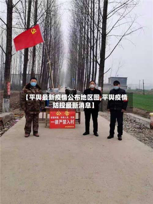 【平舆最新疫情公布地区图,平舆疫情防控最新消息】-第2张图片